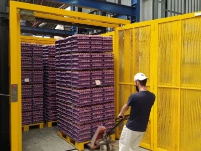 Elevador de carga dfabrica de huevos